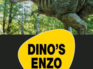 Dino's enzo