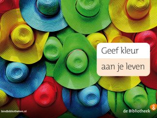 Themaposter kleurrijk (Drenthe)